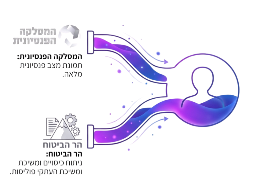 העשרת נתונים פיננסיים - מסלקה והר הביטוח